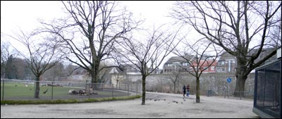 citywalls.jpg